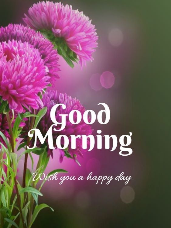 828+ Best Good Morning Images 2022 Photos HD Download